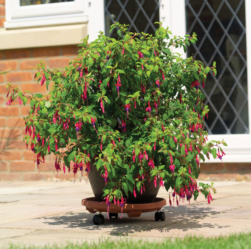 Plant Pot Trolleys