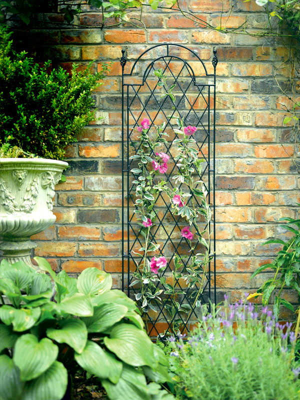 Garden Trellis