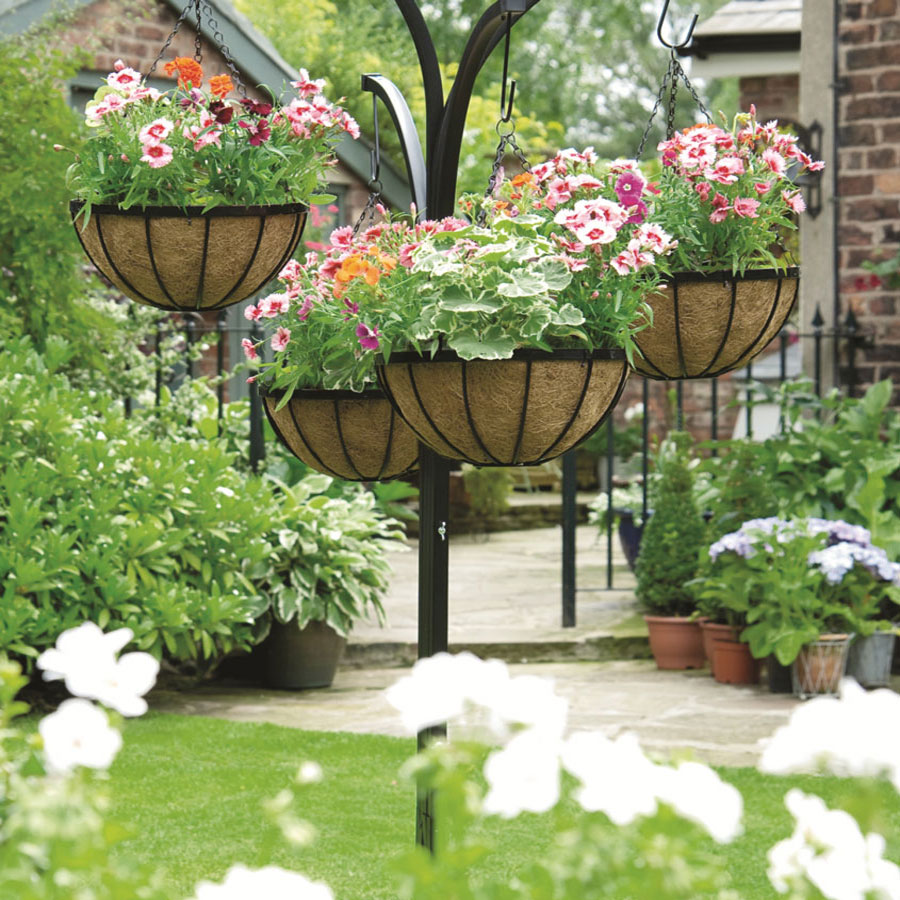 Window Boxes and Baskets